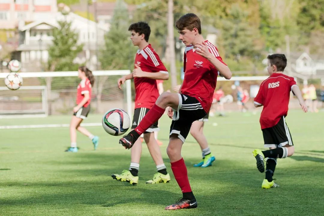 乐鱼体育官方网站-网页版登录入口地址 Leyu Sports